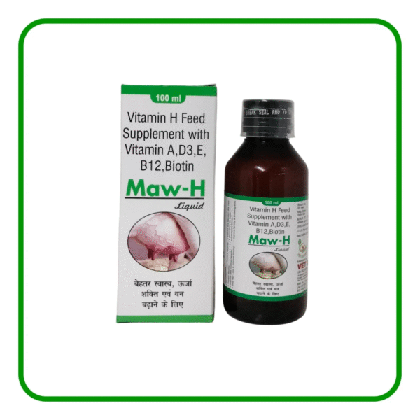 Maw-H - Image 3